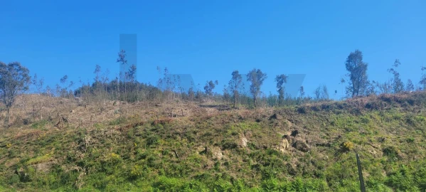 Terreno para Venda em Santa Lucrécia de Algeriz e Navarra
