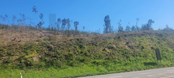 Terreno para Venda em Santa Lucrécia de Algeriz e Navarra