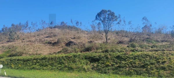 Terreno para Venda em Santa Lucrécia de Algeriz e Navarra