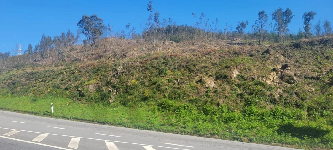 Terreno para Venda em Santa Lucrécia de Algeriz e Navarra Foto 9
