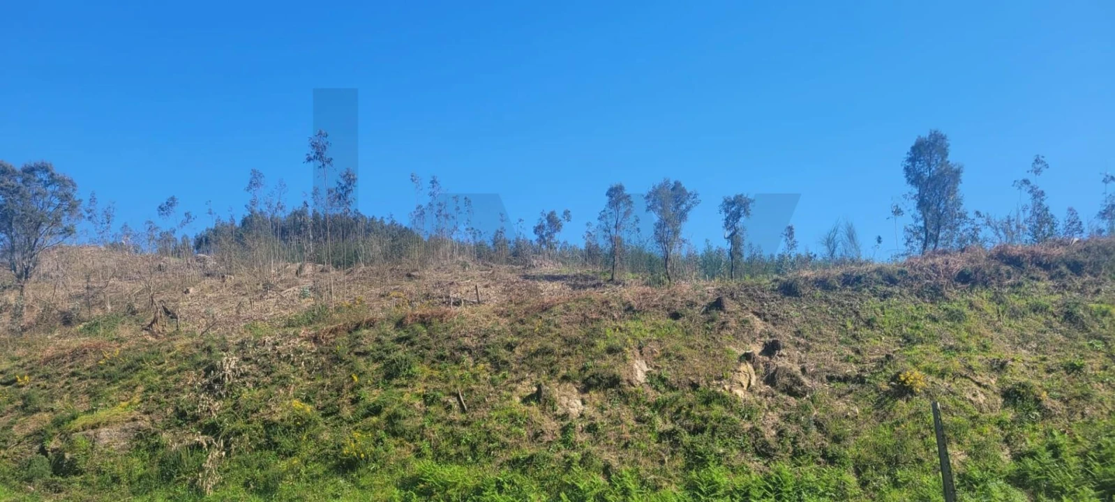 Terreno para Venda em Santa Lucrécia de Algeriz e Navarra Foto 2