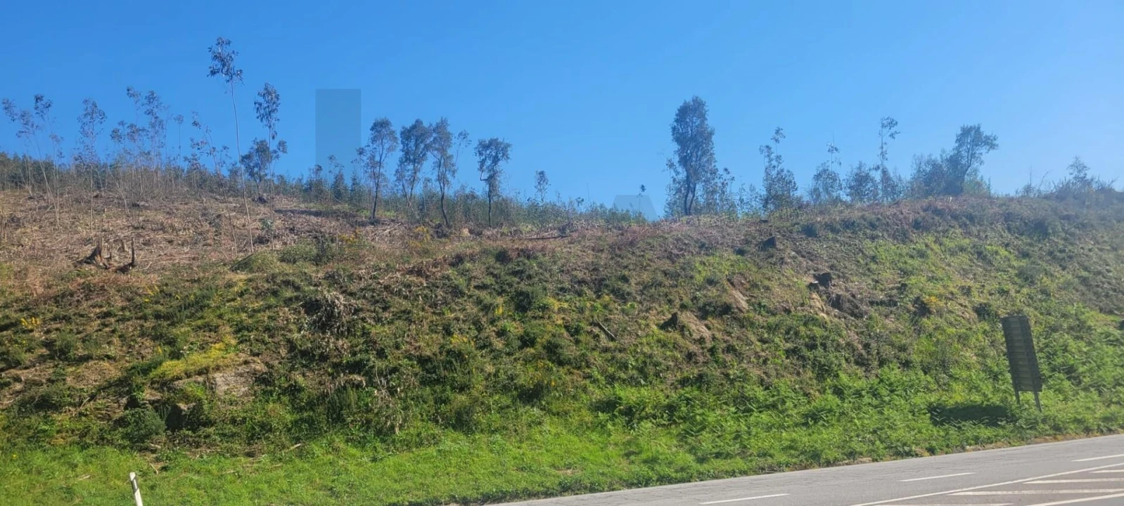 Terreno para Venda em Santa Lucrécia de Algeriz e Navarra Foto 7