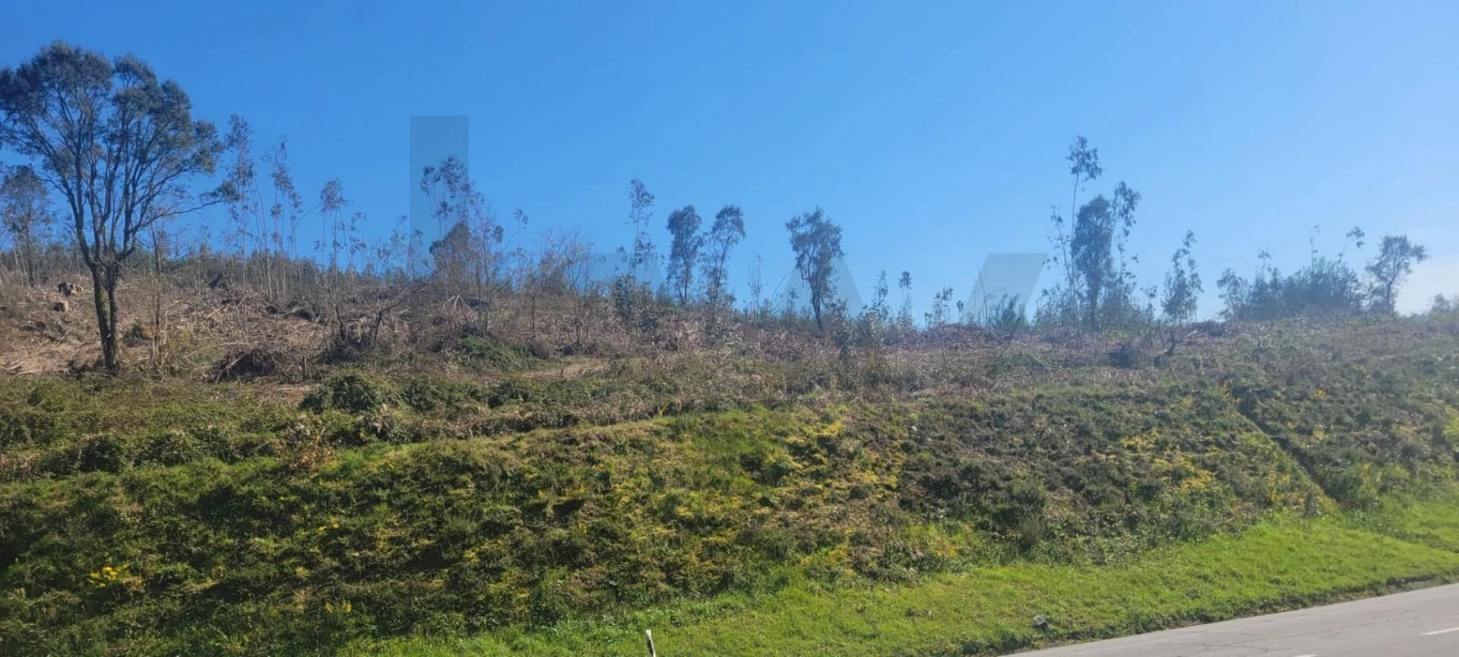 Terreno para Venda em Santa Lucrécia de Algeriz e Navarra Foto 1