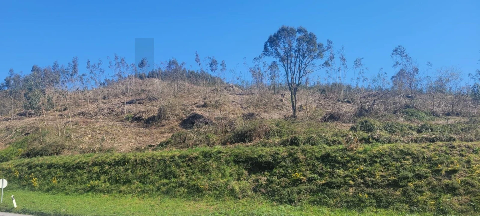 Terreno para Venda em Santa Lucrécia de Algeriz e Navarra Foto 10
