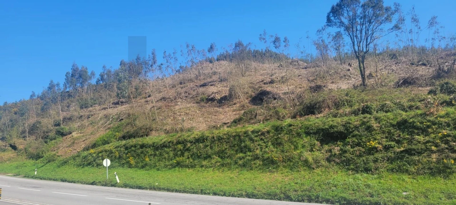 Terreno para Venda em Santa Lucrécia de Algeriz e Navarra Foto 6