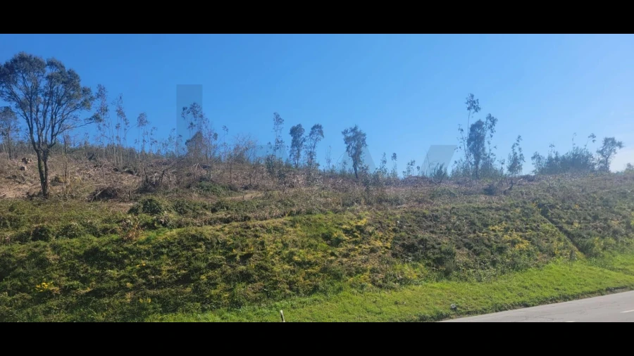 Terreno para Venda em Santa Lucrécia de Algeriz e Navarra