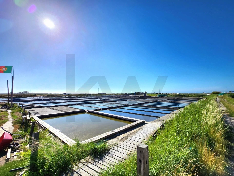 Apartamento T2 para Venda em Requeixo, Nossa Senhora de Fátima e Nariz Foto 23