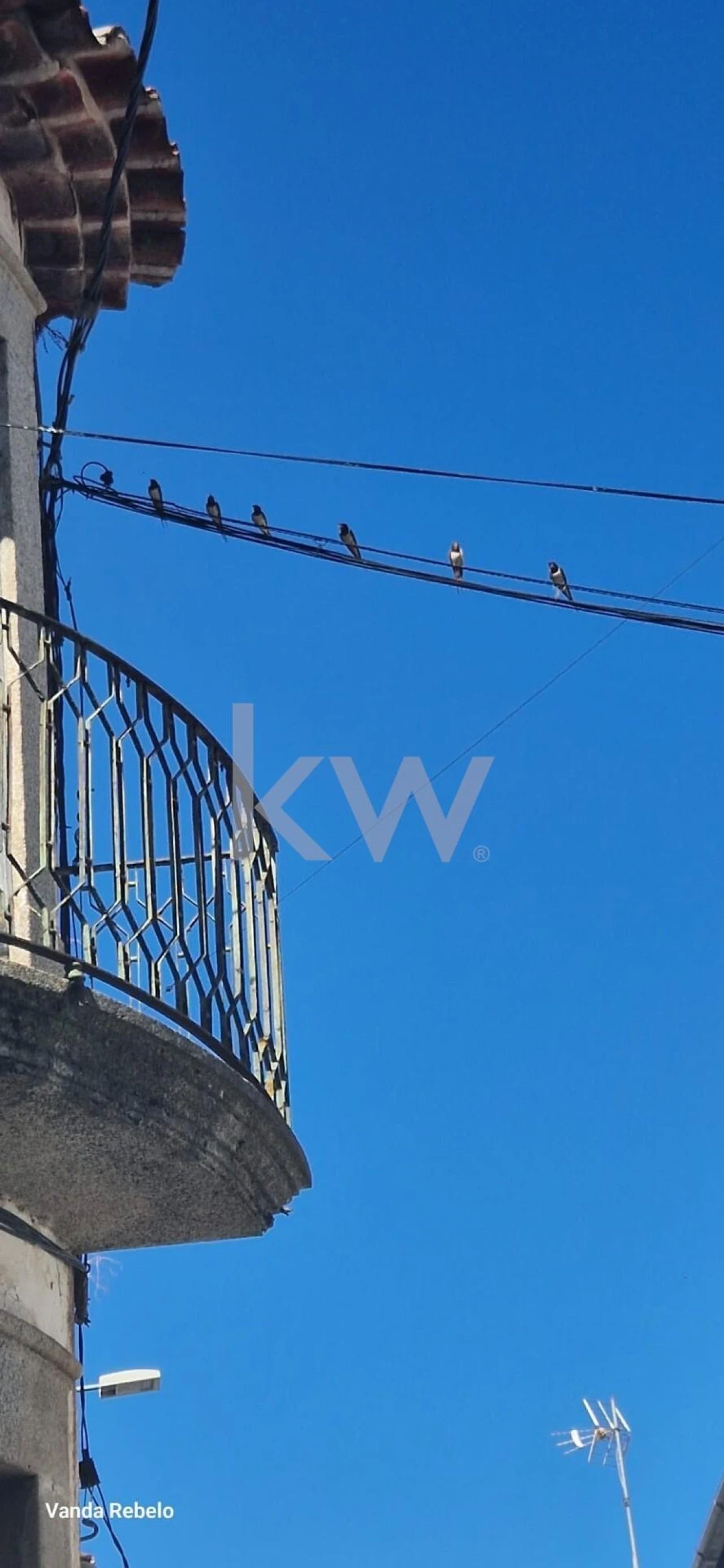 Moradia T4 para Venda em Monfortinho e Salvaterra do Extremo Foto 28