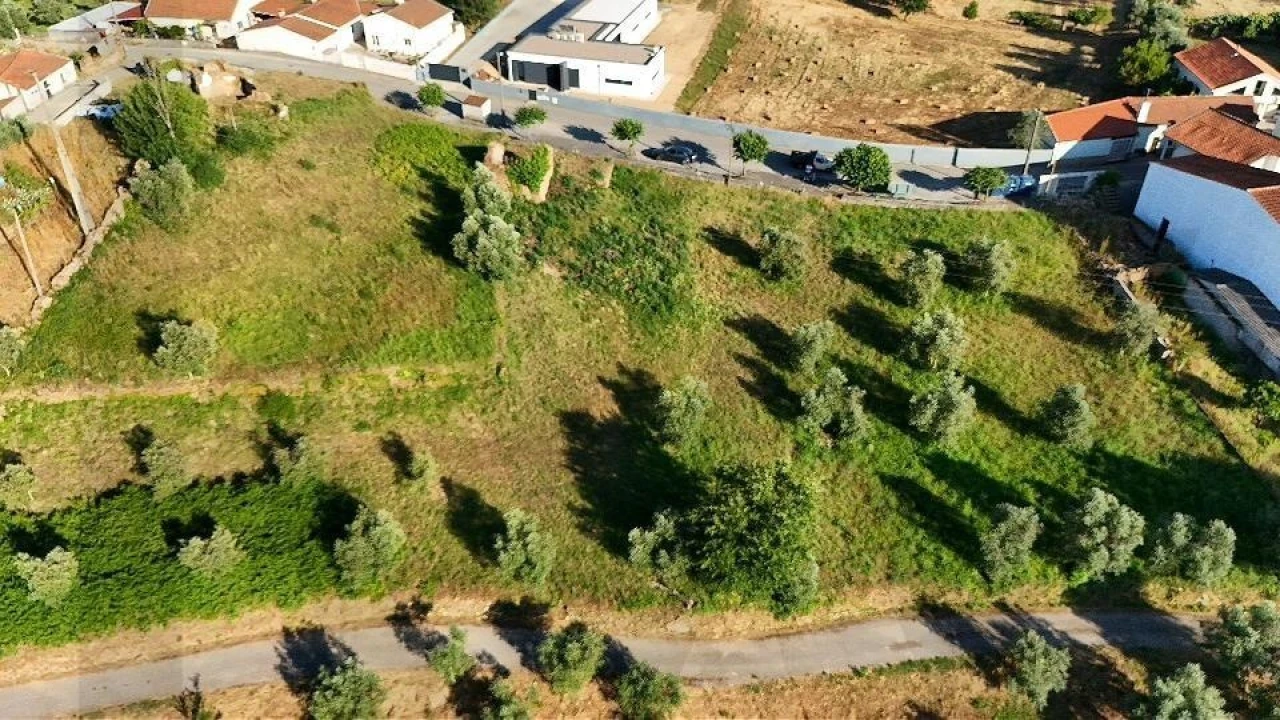Terreno para Venda em Oliveira do Mondego e Travanca do Mondego Foto 3
