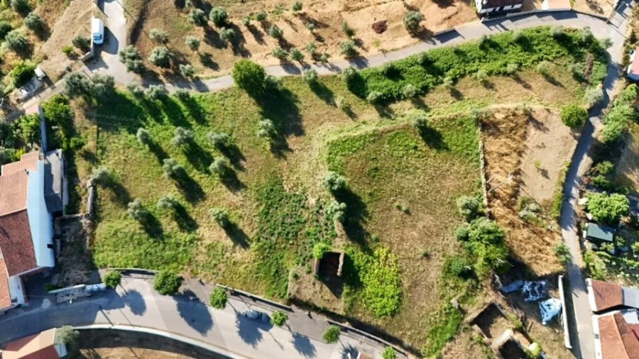 Terreno para Venda em Oliveira do Mondego e Travanca do Mondego Foto 2
