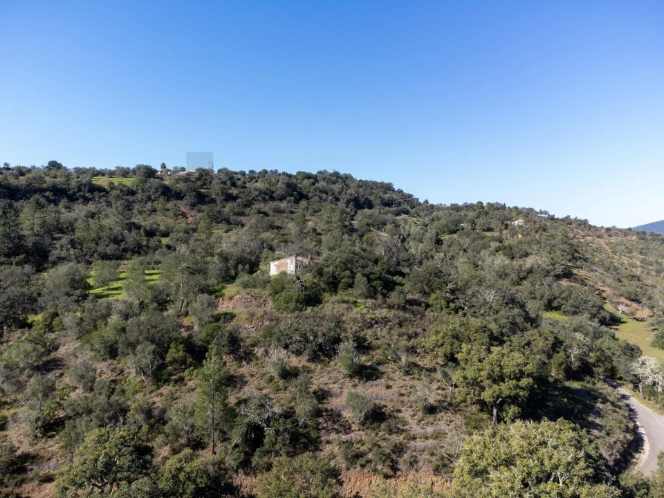 Moradia T3 para Venda em Querença, Tôr e Benafim Foto 9