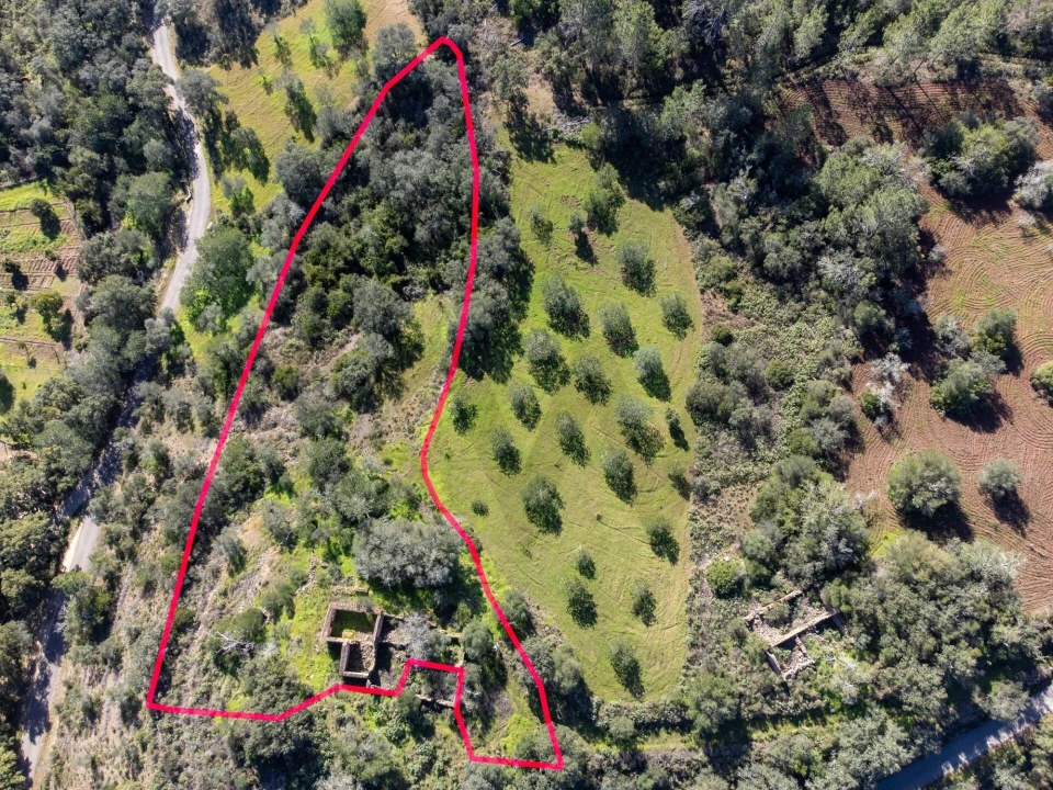 Moradia T3 para Venda em Querença, Tôr e Benafim Foto 3