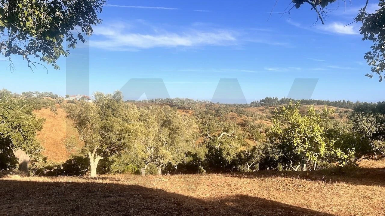 Quinta T2 para Venda em São Francisco da Serra Foto 49