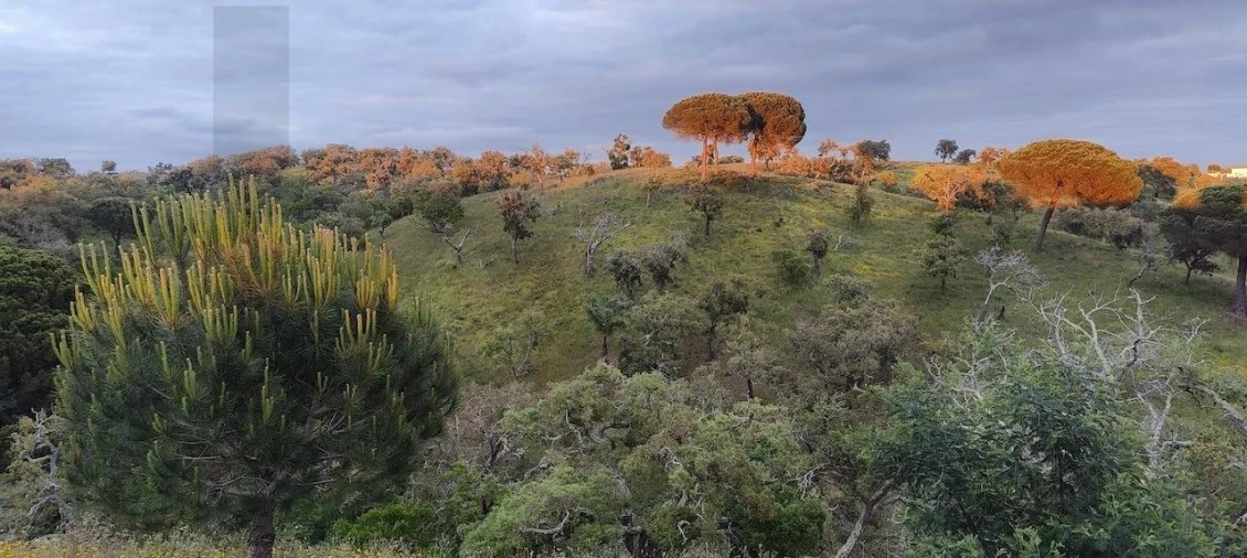 Quinta T2 para Venda em São Francisco da Serra Foto 105