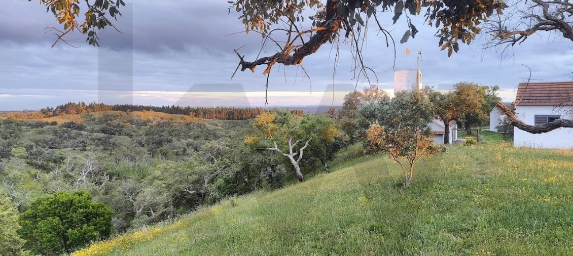 Quinta T2 para Venda em São Francisco da Serra Foto 103