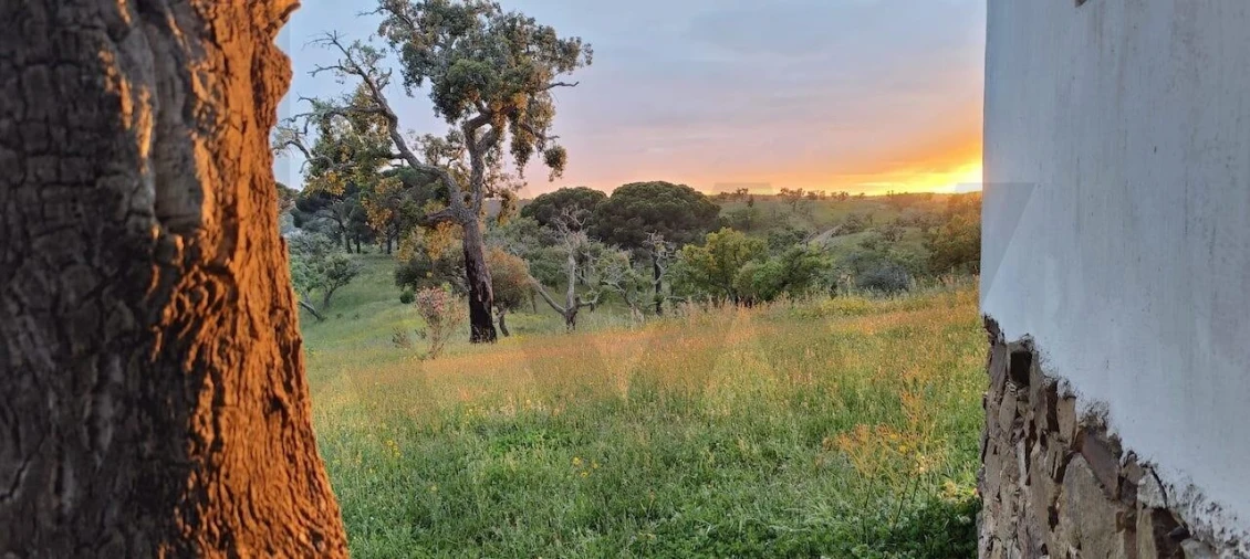 Quinta T2 para Venda em São Francisco da Serra Foto 102