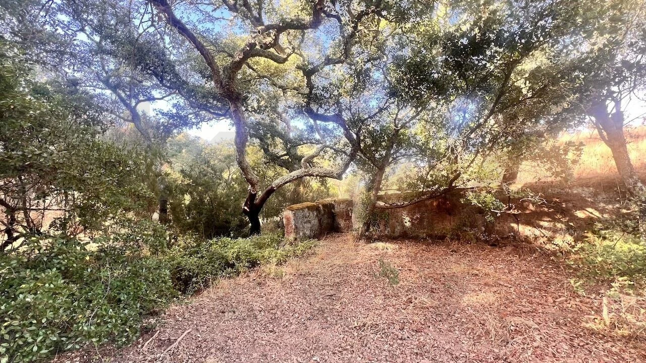 Quinta T2 para Venda em São Francisco da Serra Foto 20