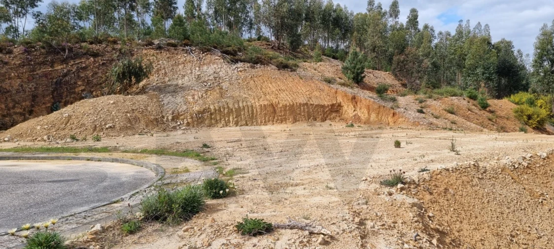 Terreno para Venda em Mação, Penhascoso e Aboboreira Foto 3