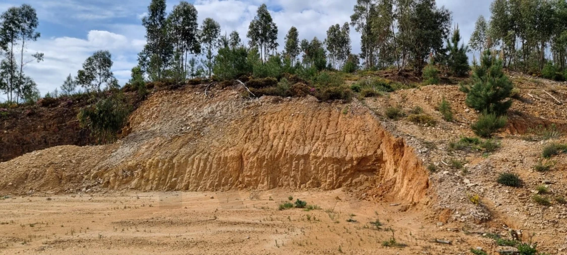Terreno para Venda em Mação, Penhascoso e Aboboreira Foto 2
