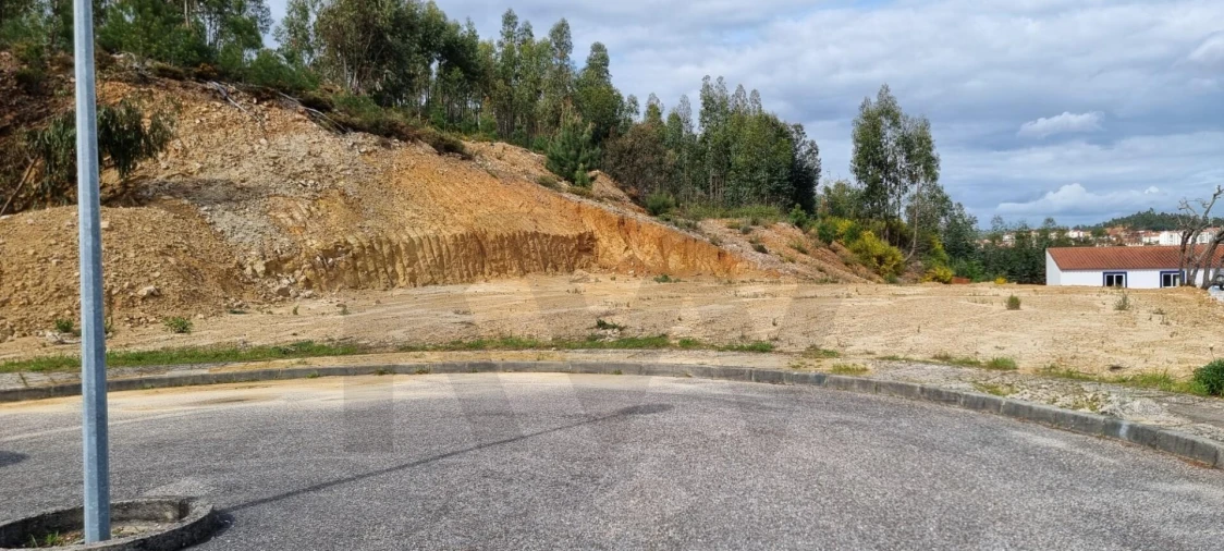 Terreno para Venda em Mação, Penhascoso e Aboboreira Foto 4