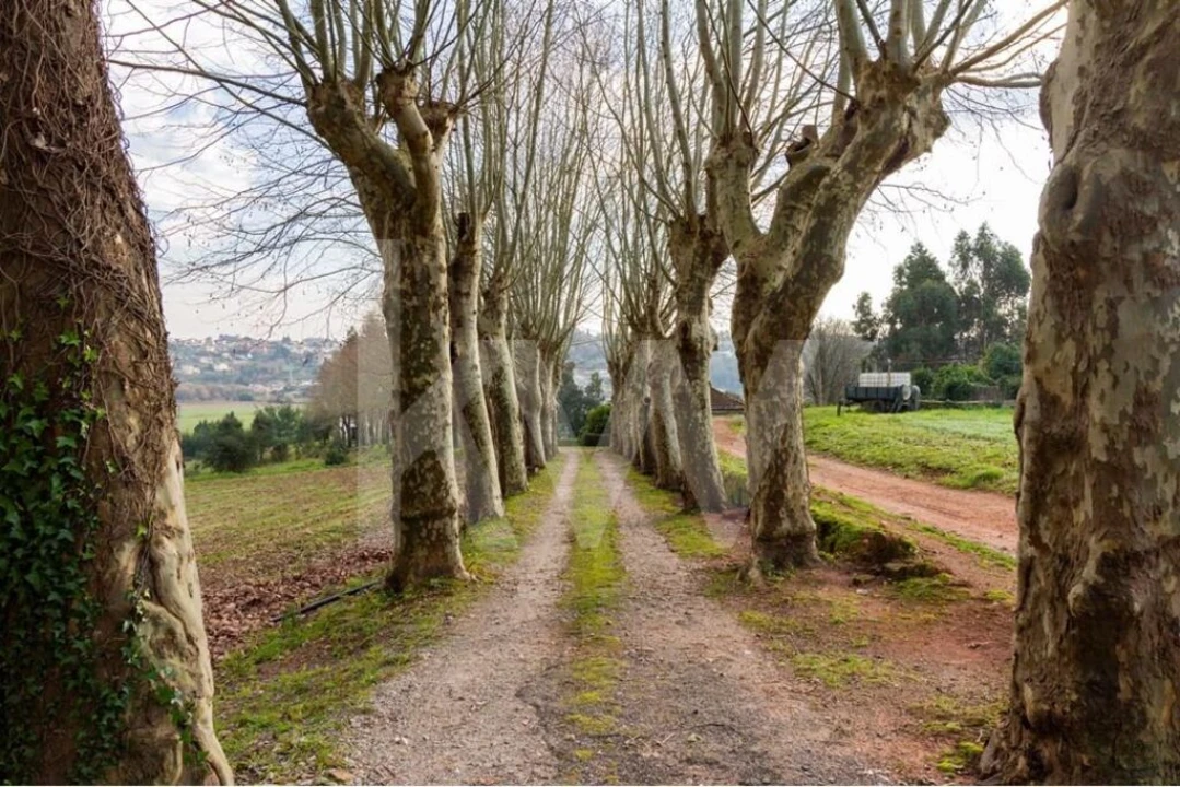 Moradia T9 para Venda em Travassô e Óis da Ribeira Foto 14