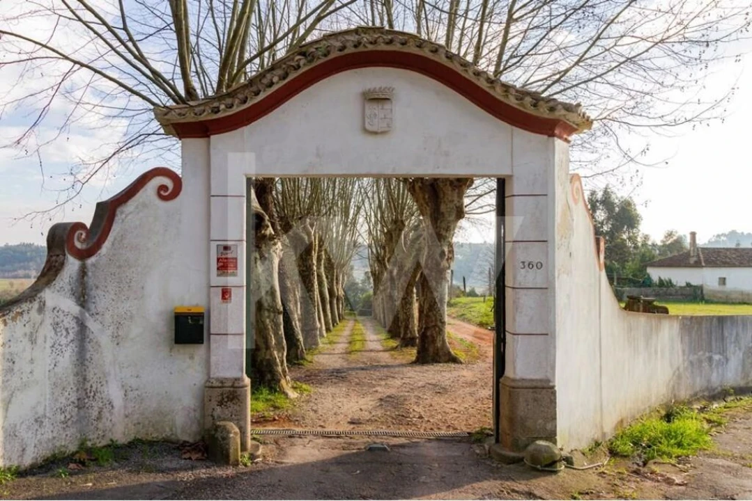 Moradia T9 para Venda em Travassô e Óis da Ribeira Foto 7