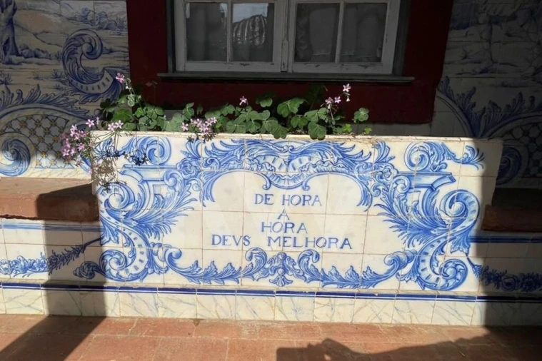 Moradia T9 para Venda em Travassô e Óis da Ribeira Foto 30