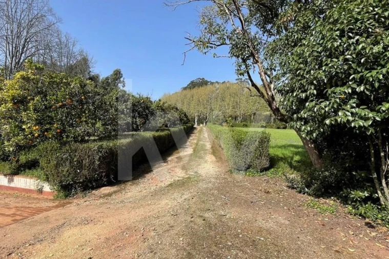 Moradia T9 para Venda em Travassô e Óis da Ribeira Foto 73