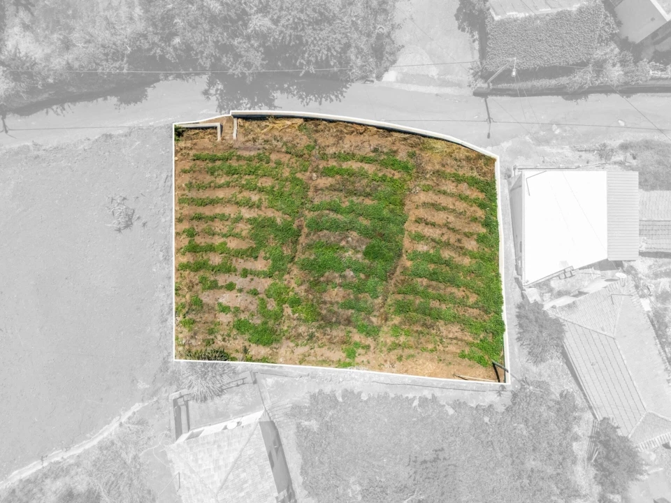 Terreno para Venda em Ponta do Pargo Foto 4