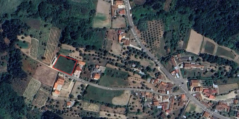 Terreno para Venda em Pereira Foto 2