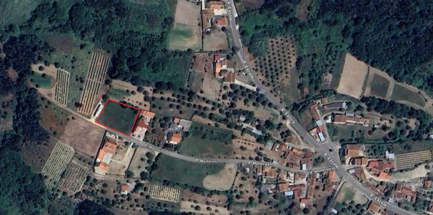 Terreno para Venda em Pereira Foto 2