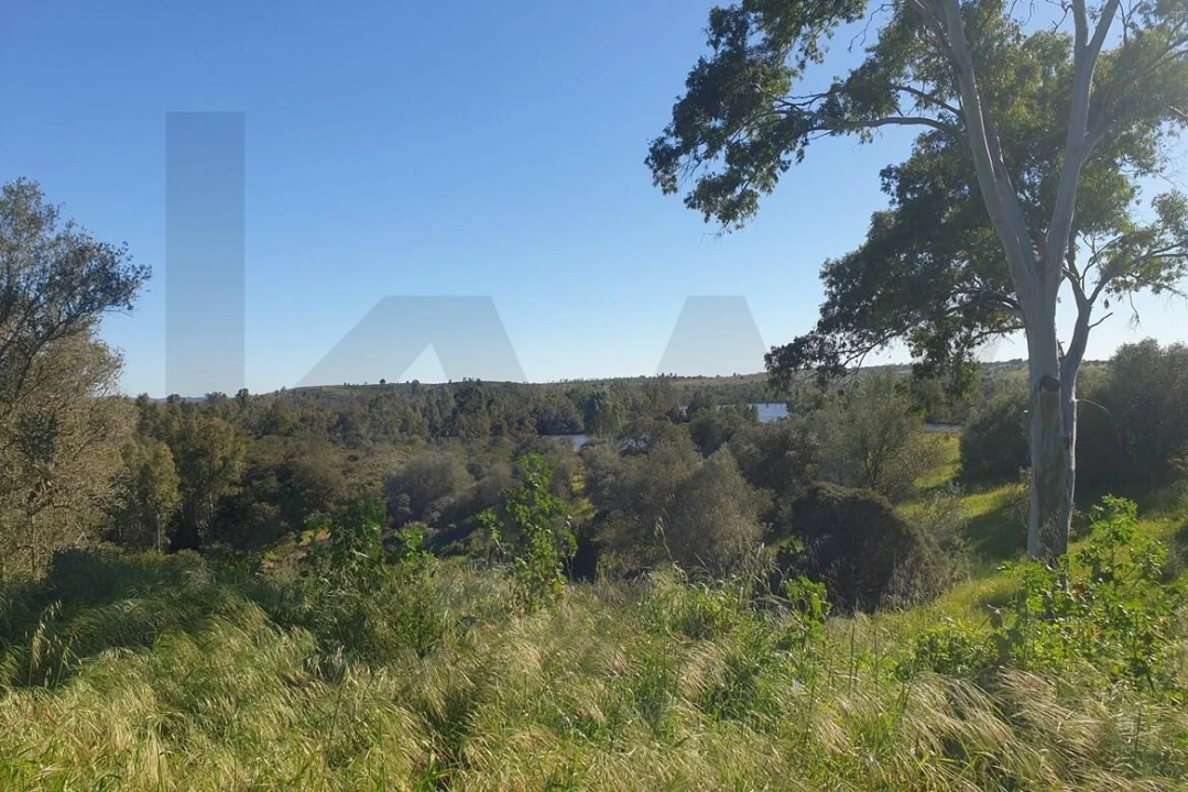 Moradia T1 para Venda em Corte do Pinto Foto 5