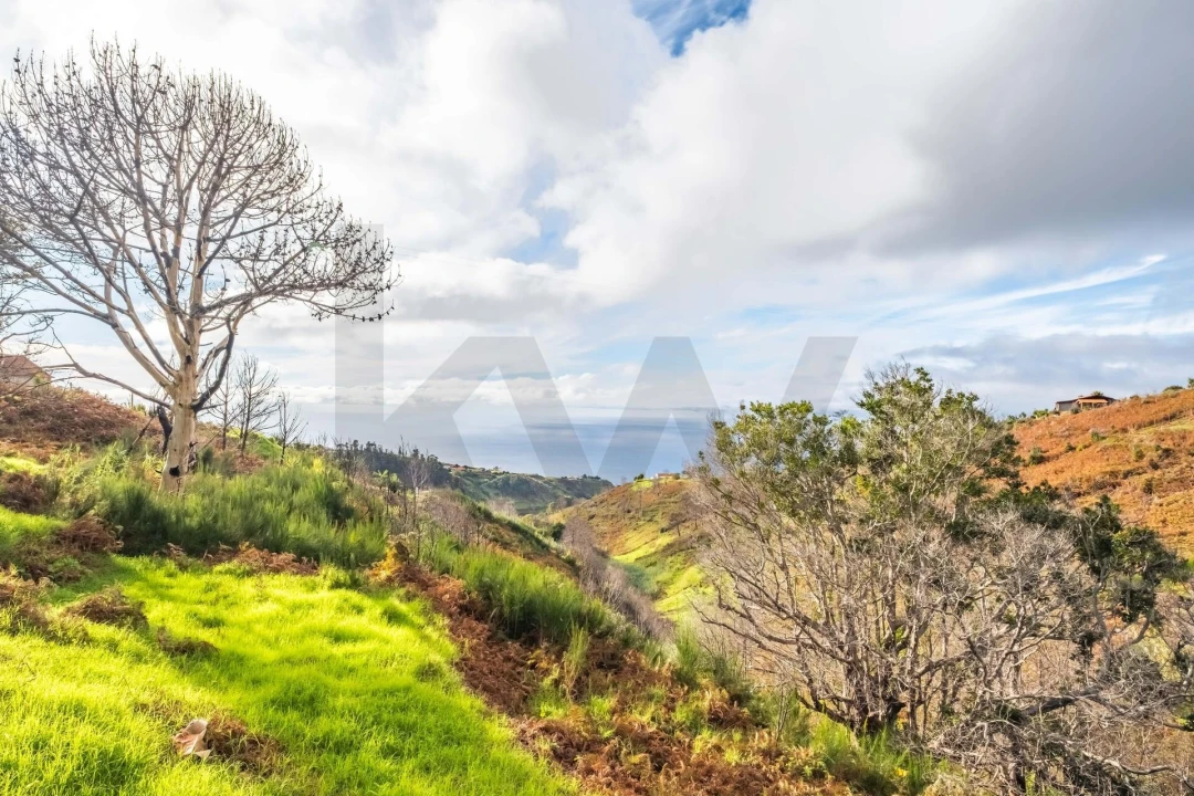 Moradia T2 para Venda em Ponta do Pargo Foto 19