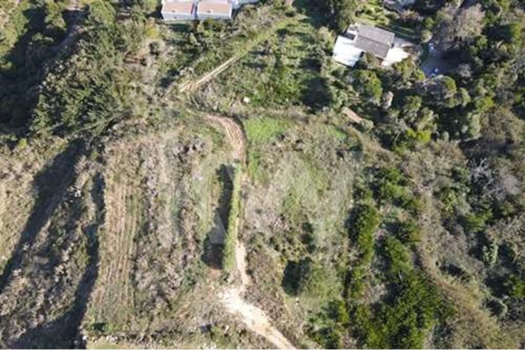 Terreno para Venda em Foz do Arelho Foto 16