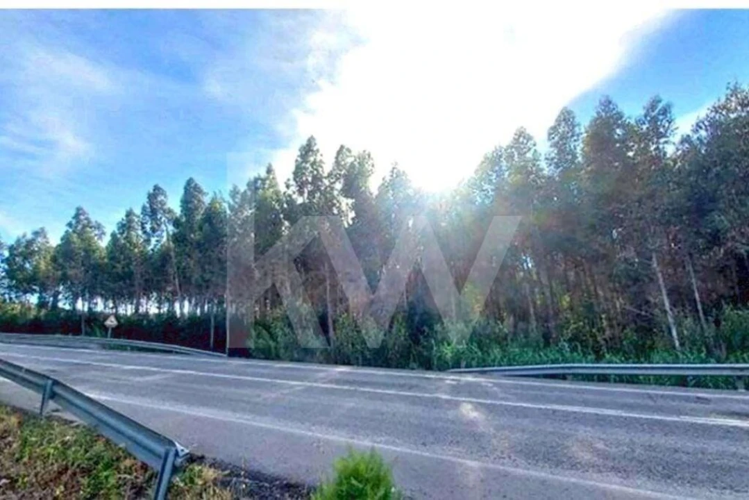 Terreno para Venda em Lamas e Cercal Foto 3