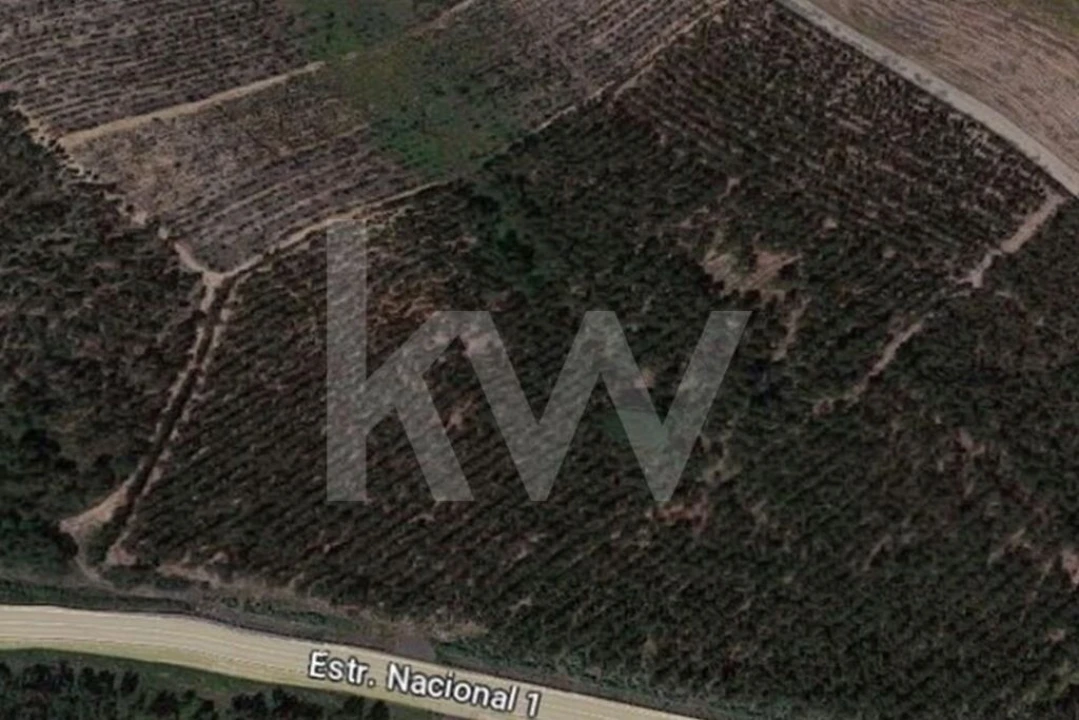 Terreno para Venda em Lamas e Cercal Foto 4