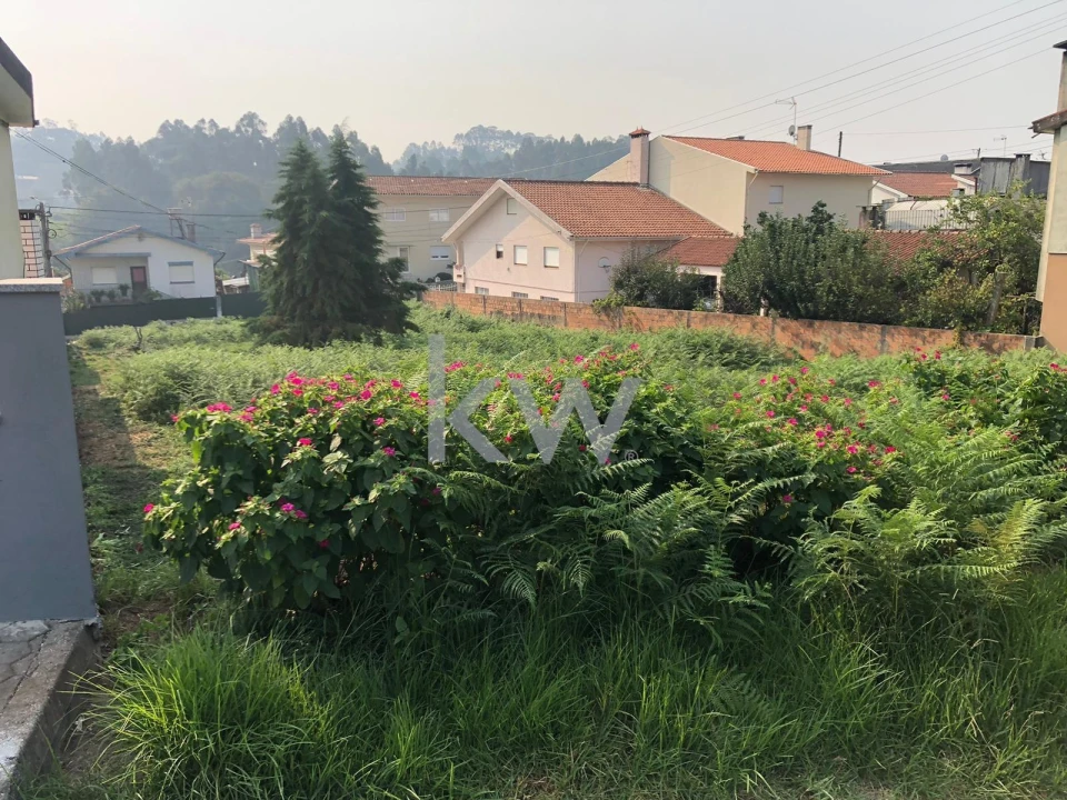 Terreno para Venda em Vila de Cucujães Foto 8