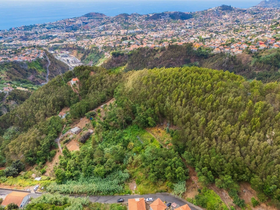 Terreno para Venda em Monte Foto 8
