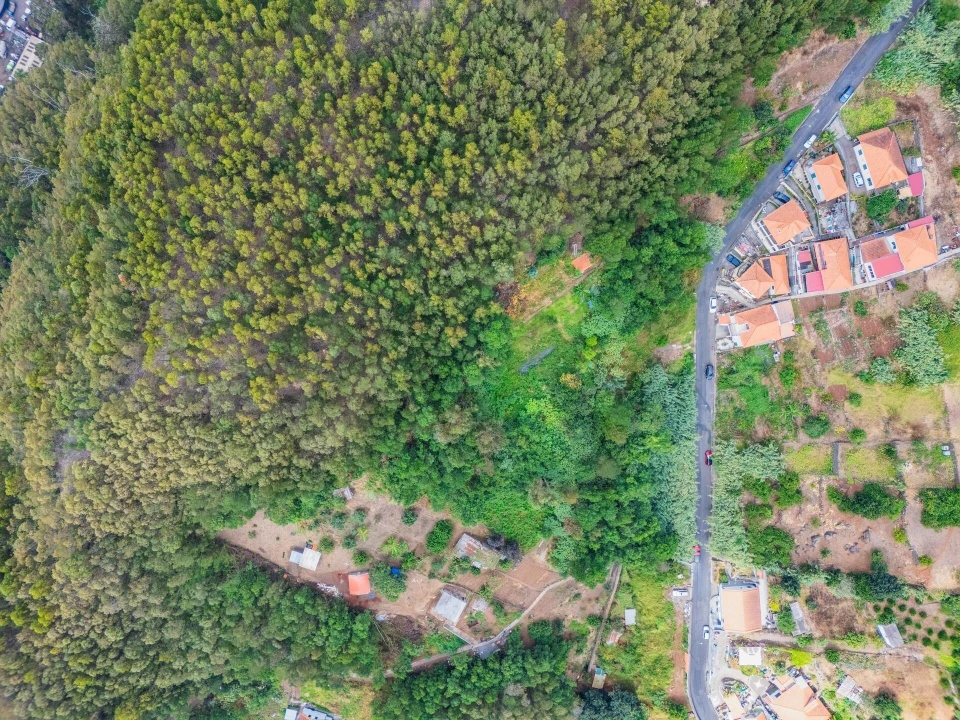 Terreno para Venda em Monte Foto 2