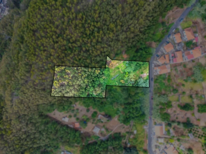 Terreno para Venda em Monte