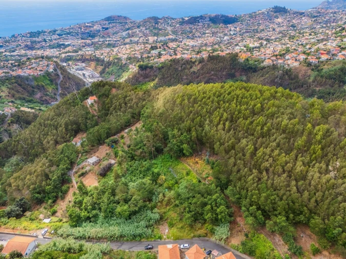 Terreno para Venda em Monte Foto 8