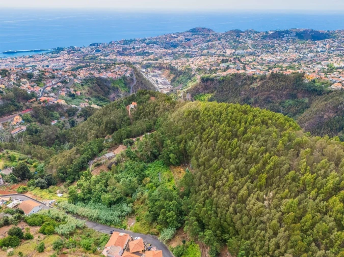 Terreno para Venda em Monte Foto 10