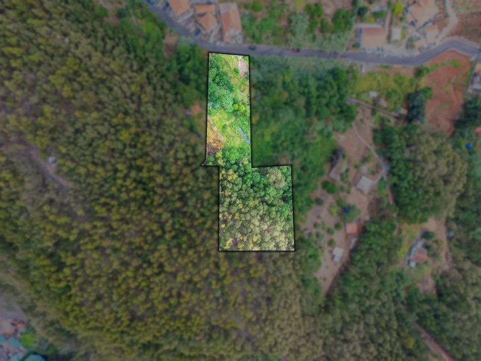 Terreno para Venda em Monte Foto 3