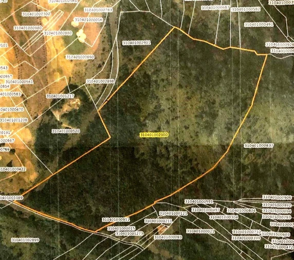 Terreno para Venda em Agua de Pena Foto 16