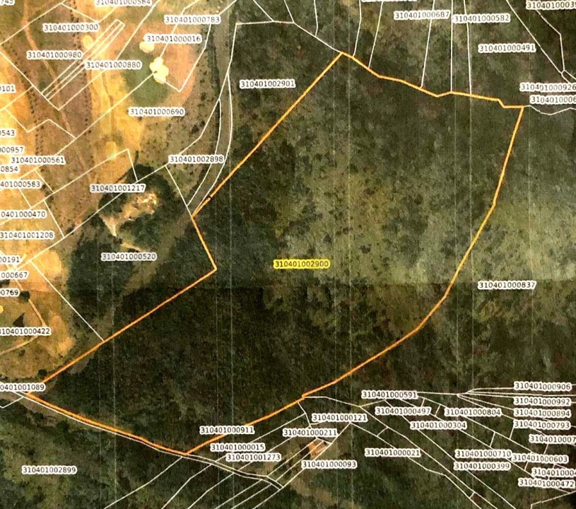 Terreno para Venda em Agua de Pena Foto 16