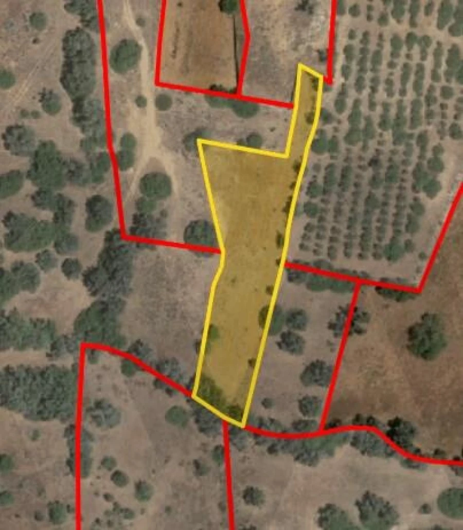 Terreno para Venda em Alcantarilha e Pêra