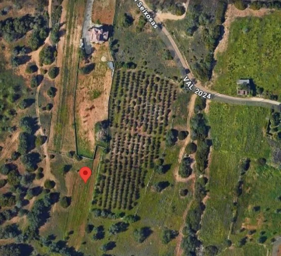 Terreno para Venda em Alcantarilha e Pêra Foto 2