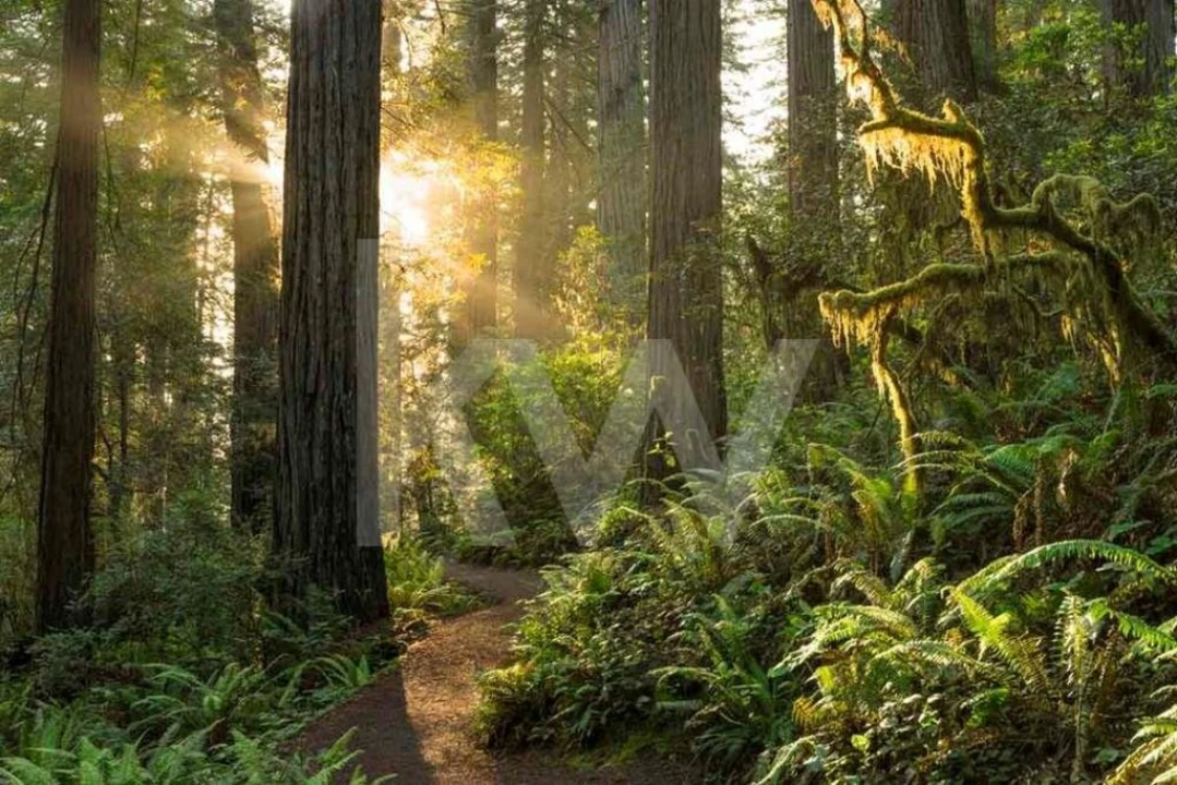 Prédio para Venda em Agualva e Mira-Sintra Foto 21
