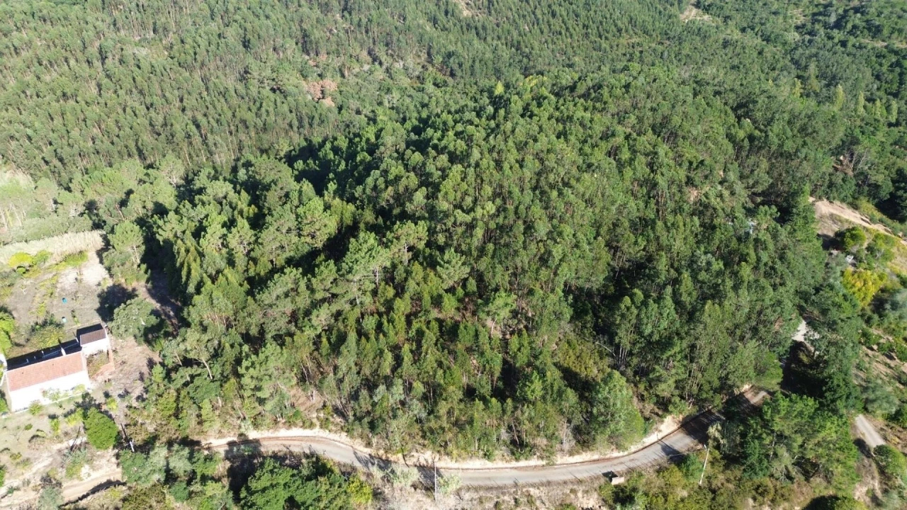 Terreno para Venda em Mafra Foto 19