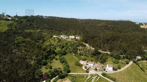 Terreno para Venda em Mafra